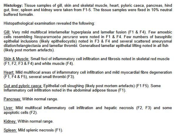 FHI Maragay Mor June 2019 #9