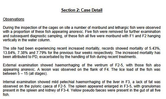 FHI Maaey June 2019  #12