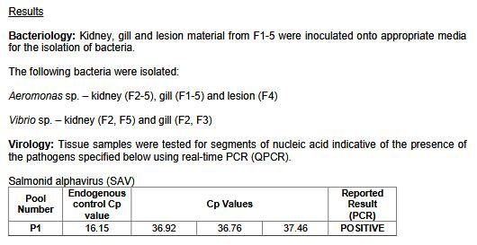 FHI Maaey June 2019  #13