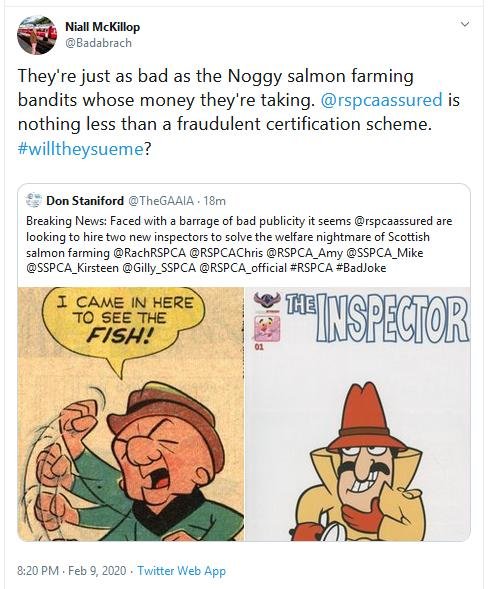 RSCPA Tweet #22 Niall McKillop RSCPA Tweet #22 Niall McKillop