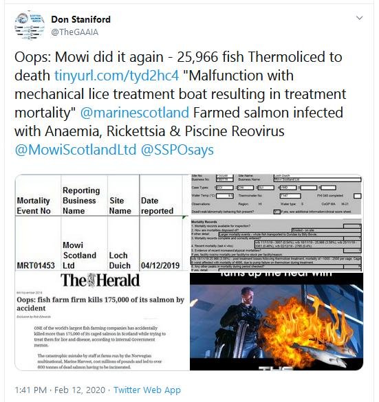 Duich Thermolicer deaths Dec 2019 #4