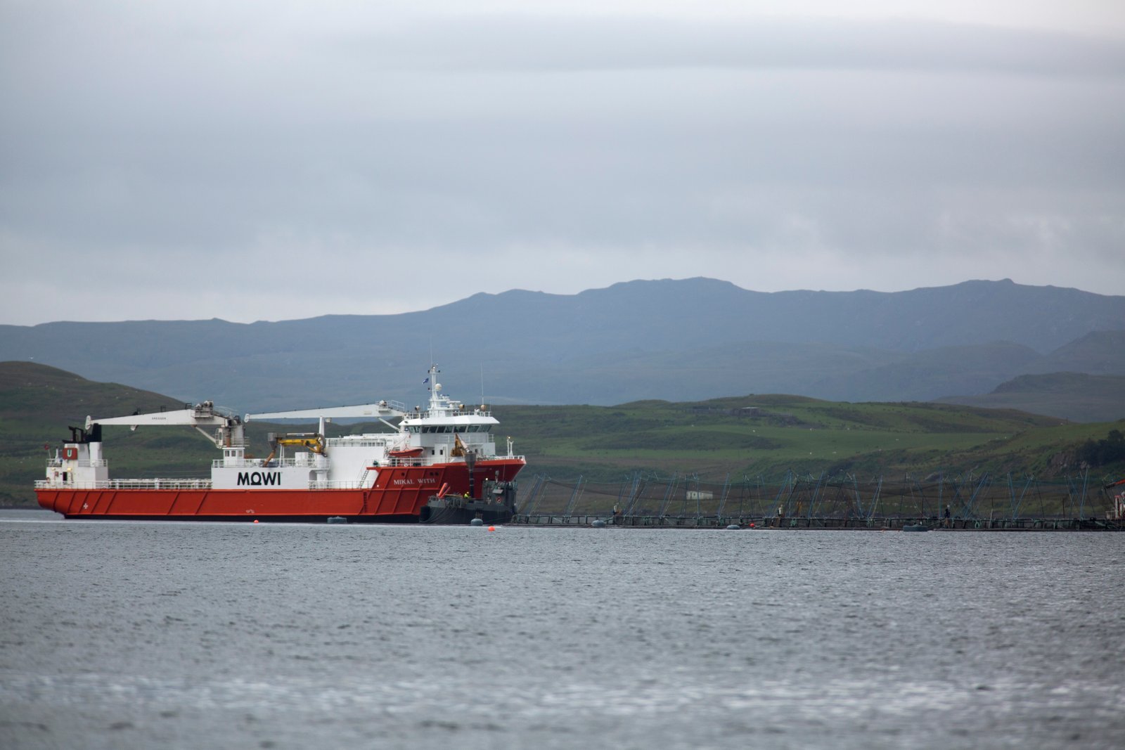 190703CMC_SalmonWatch-504 190703CMC_SalmonWatch-504