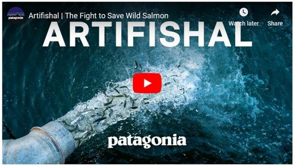 Artifishal Artifishal