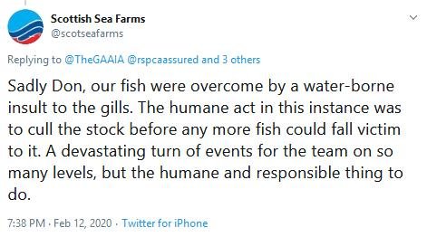 Spelve FHI Dec 2020 # Tweet SSF 12 Feb 2020