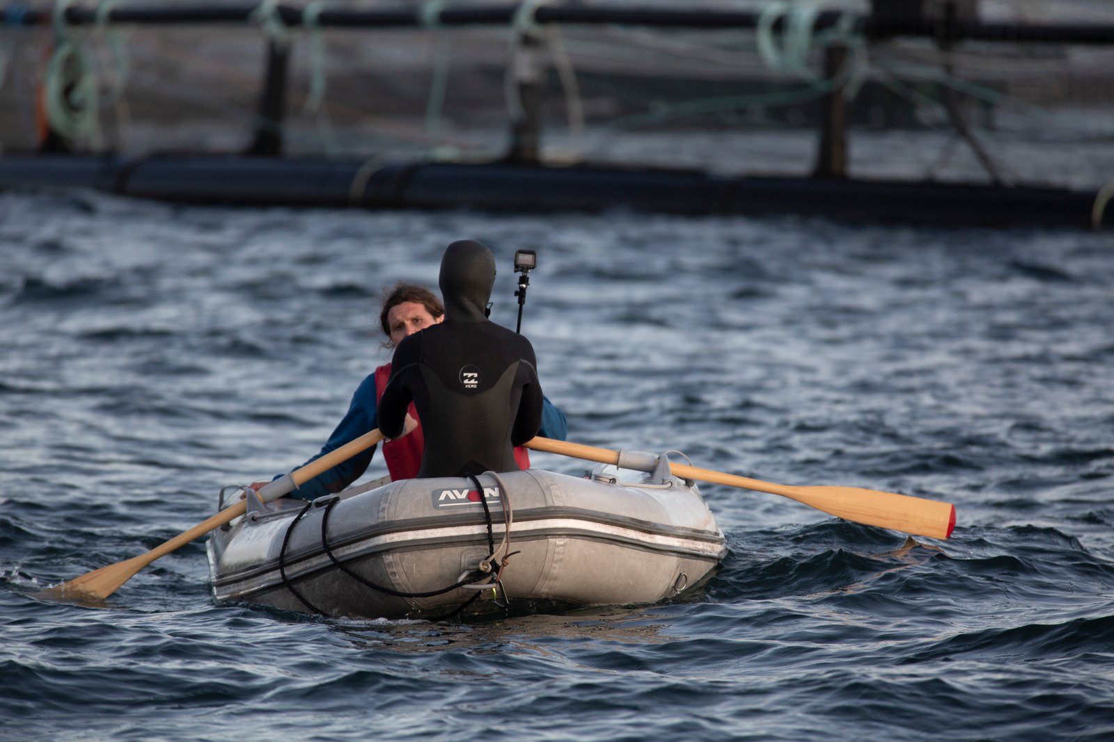 190702CMC_SalmonWatch-444 190702CMC_SalmonWatch-444