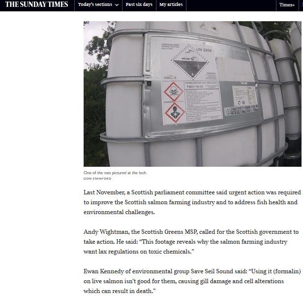 Sunday Times on Formaldehyde 21 July 2019 #4