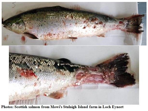 PR Exposed Photos 23 October 2019 #2 PR Exposed Photos 23 October 2019 #2