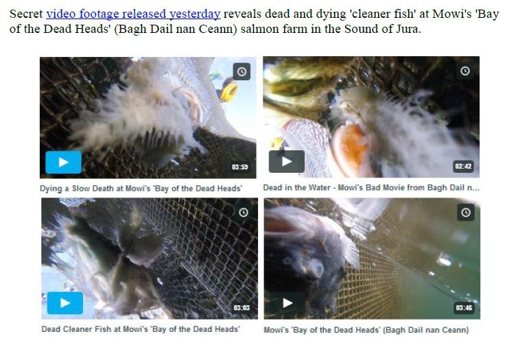 PR Exposing Scottish Salmon's Dirty Secrets 22 July 2019 #2