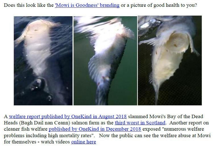 PR Exposing Scottish Salmon's Dirty Secrets 22 July 2019 #5