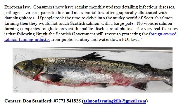 PR Exposed Photos 24 October 2019 #16 PR Exposed Photos 24 October 2019 #16