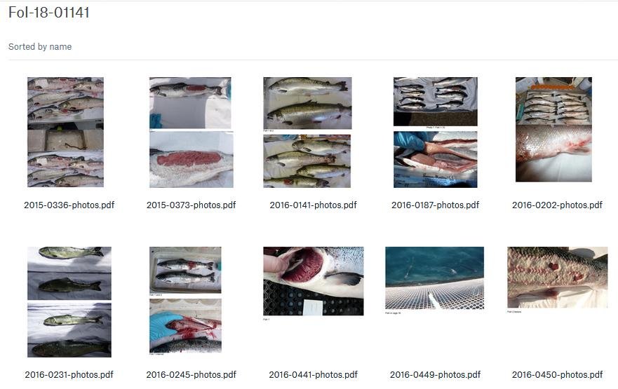 Dropbox #1 Dropbox #1