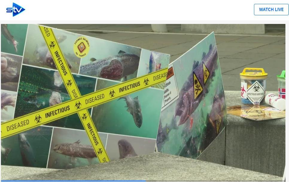 STV News 22 July 2019 #4 posters