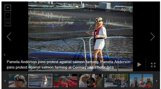 Swim against fish farm #12 Swim against fish farm #12