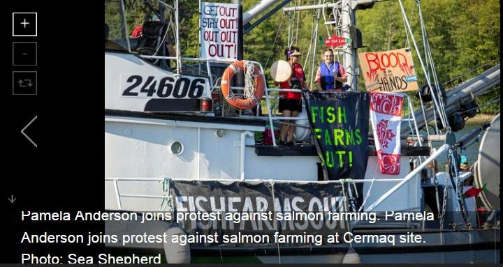 Swim against fish farm #13 Swim against fish farm #13