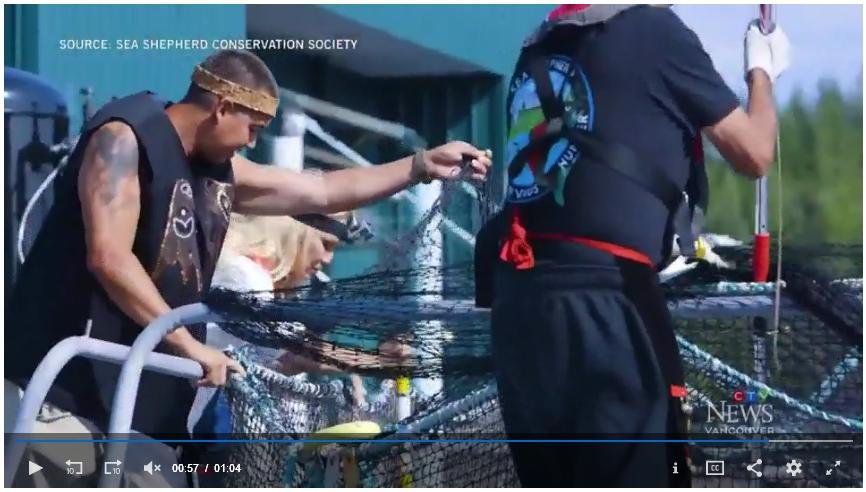 Swim against fish farm #16 Swim against fish farm #16