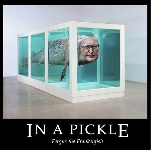 Pickled Salmon in Hirst Tank Fergus the Frankenfish Pickled Salmon in Hirst Tank Fergus the Frankenfish