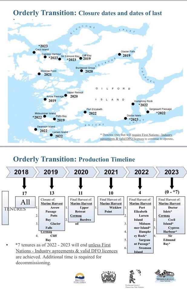 Blog Move it Mowi #1 Blog Move it Mowi #1