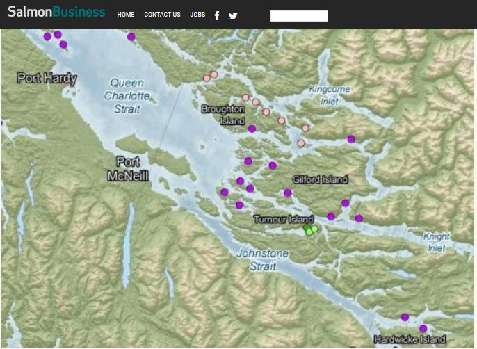 Blog Move it Mowi #3 Blog Move it Mowi #3