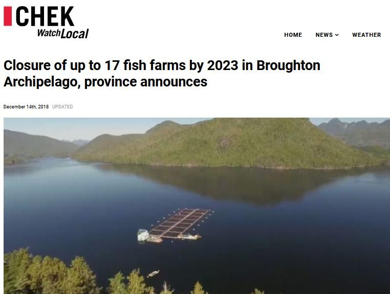 Blog Move it Mowi #5 Blog Move it Mowi #5