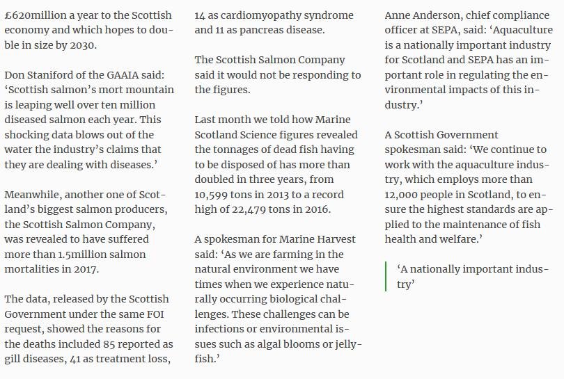 Blog Move it Mowi #25 Blog Move it Mowi #25