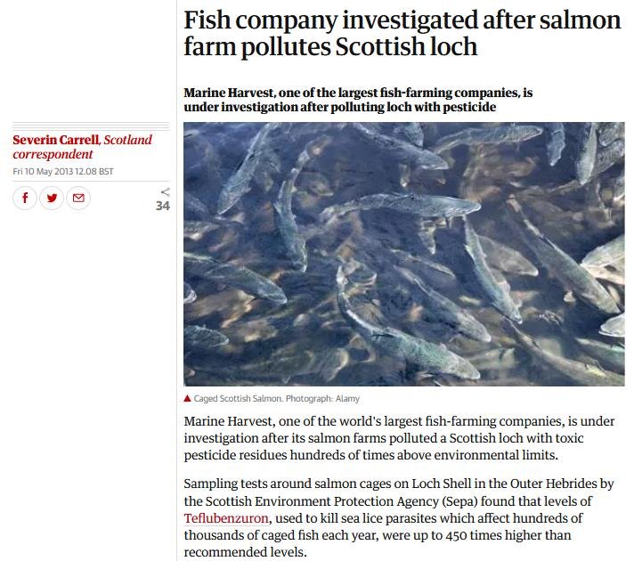 Blog Move it Mowi #31 Blog Move it Mowi #31