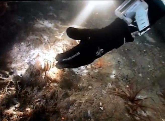 Blog Move it Mowi #38 Blog Move it Mowi #38