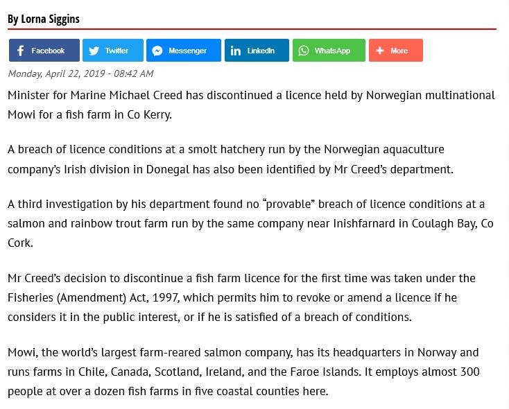 Blog Move it Mowi #44 Blog Move it Mowi #44