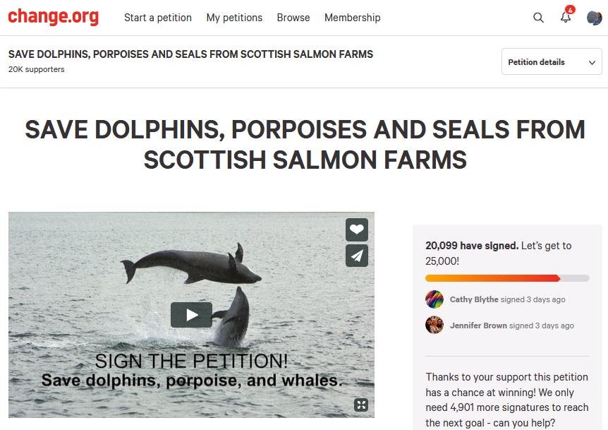 Blog Move it Mowi #47