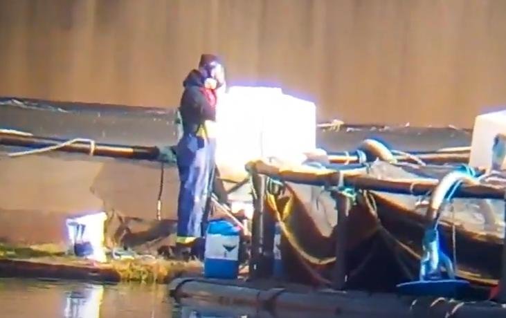 Kames video gas mask Nov 2019