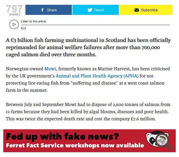 Ferret 10 Nov 2019 #2 Ferret 10 Nov 2019 #2