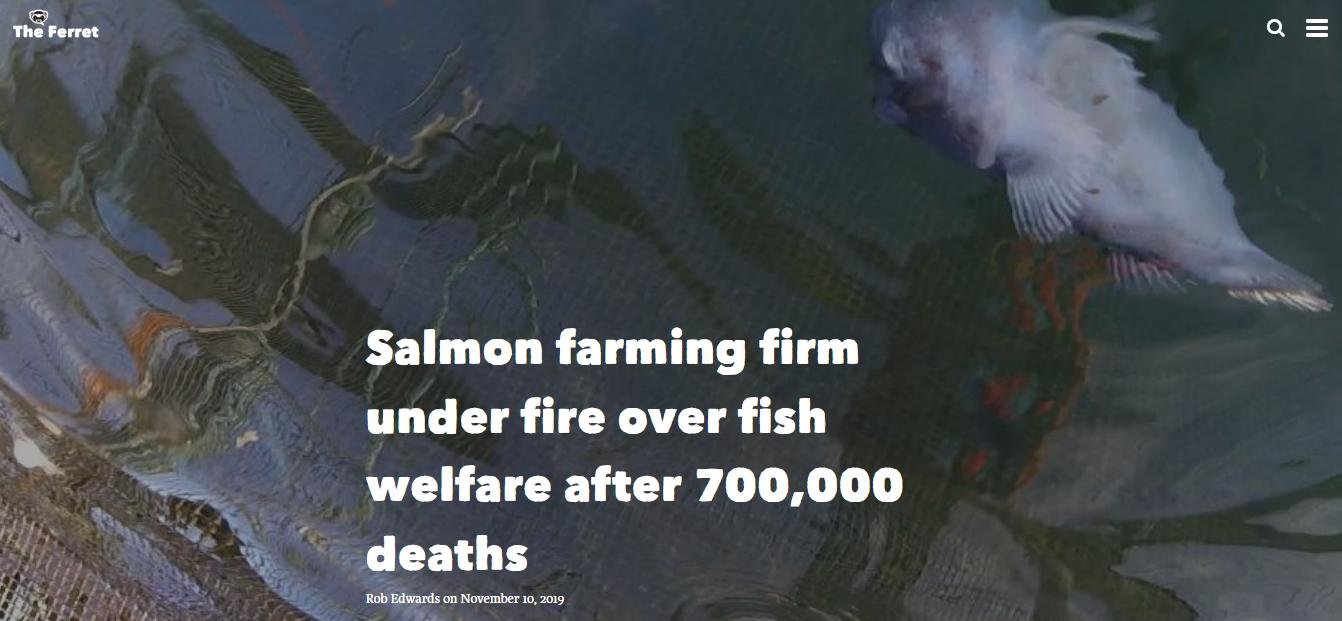 Ferret 10 Nov 2019 #1 Ferret 10 Nov 2019 #1