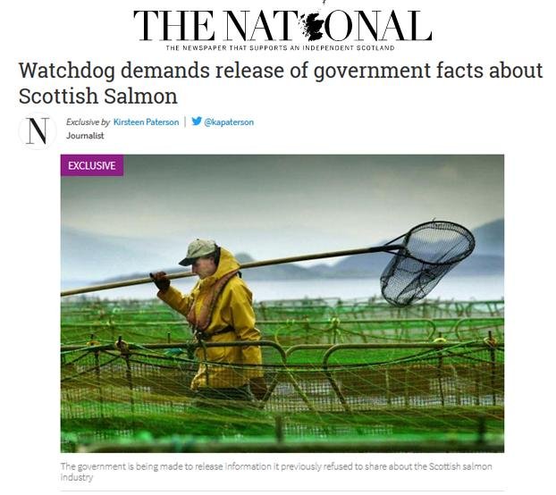 The National 11 Nov 2019 #1