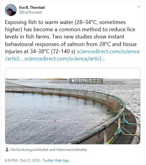 Thermolicer new blog #3 Tweet by Thorstad Thermolicer new blog #3 Tweet by Thorstad