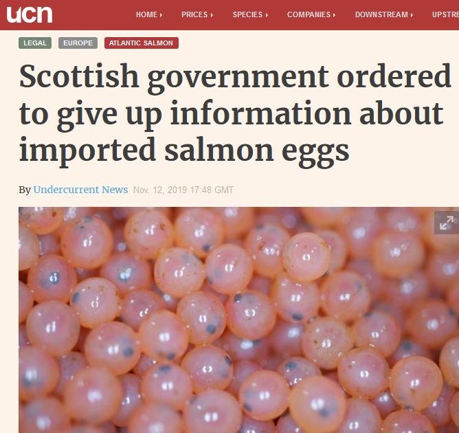 Undercurrent News 12 Nov 2019 #1