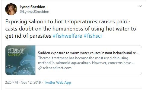 Thermolicer new blog #6 Tweet Sneddon Thermolicer new blog #6 Tweet Sneddon