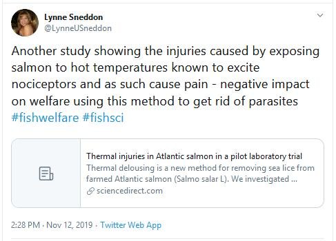 Thermolicer new blog #7 Tweet Sneddon Thermolicer new blog #7 Tweet Sneddon