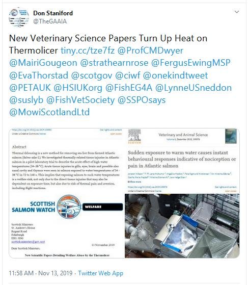 Thermolicer new blog #8 Tweet on blog Thermolicer new blog #8 Tweet on blog