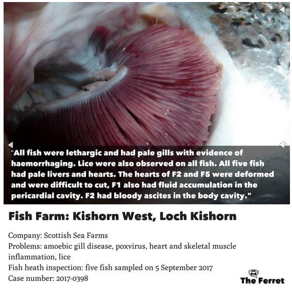 Sick blog #6 Sick blog #6