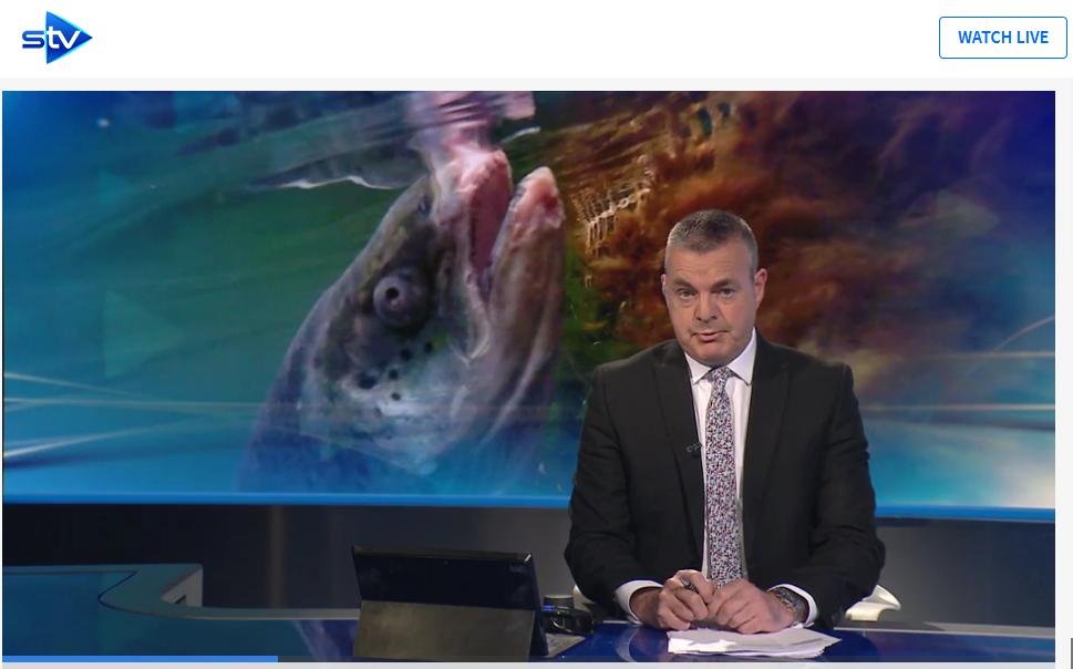 STV News 19 June 2019 TV version #2