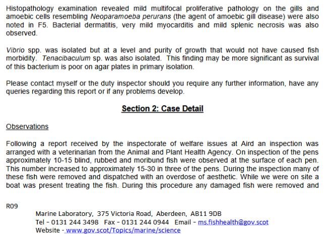 FHI June 2019 inspection report #7