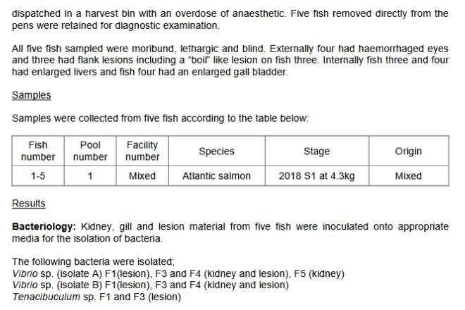 FHI June 2019 inspection report #8