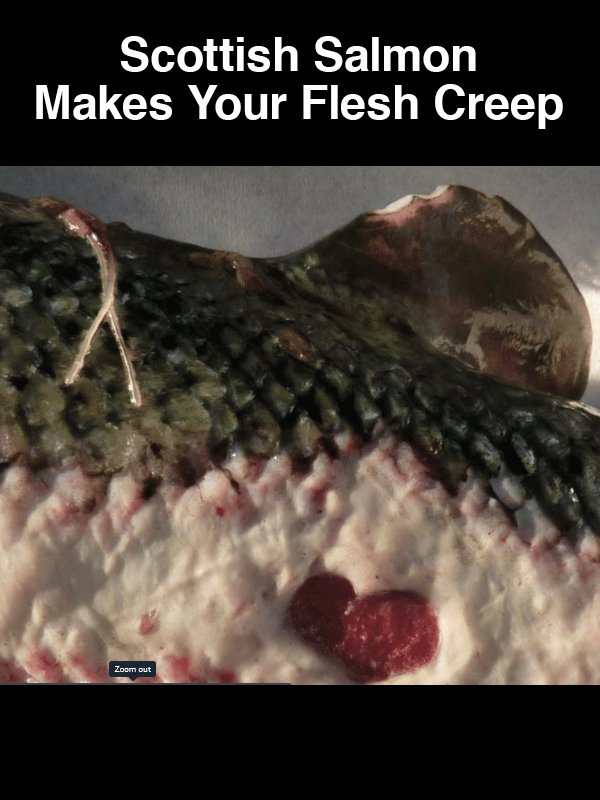 #7 Scottish Salmon Makes Your Flesh Creep