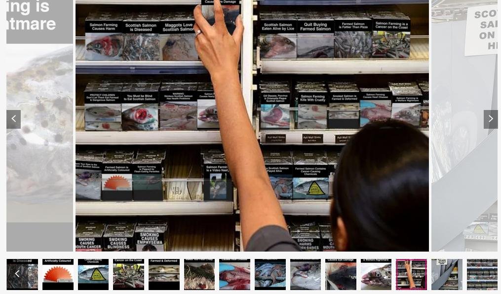 Gallery #5 online via Scottish Scamon