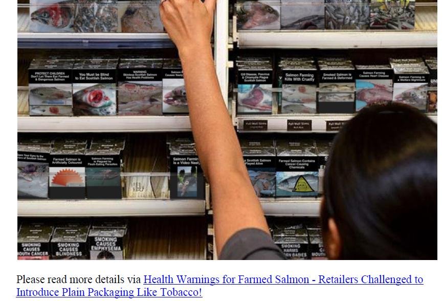 Letter to Supermarkets 21 Nov 2019 #2