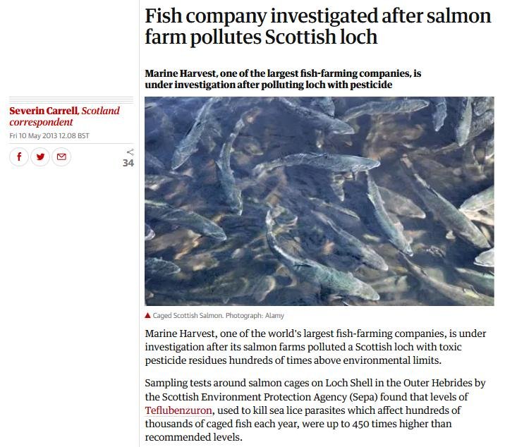 Loch Shell Guardian 2013