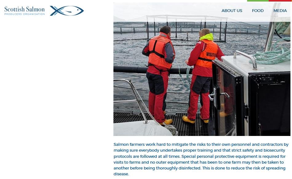 Blog #5 SSPO on safety Blog #5 SSPO on safety