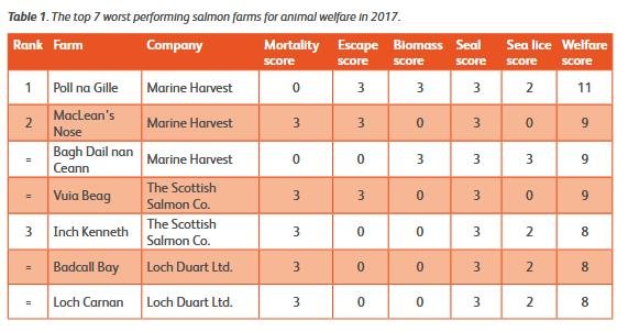 Blog #7 OneKind Blog #7 OneKind