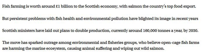 Scotsman 27 Aug 2019 #3