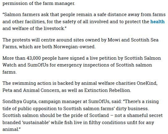 National 28 Aug 2019 #4