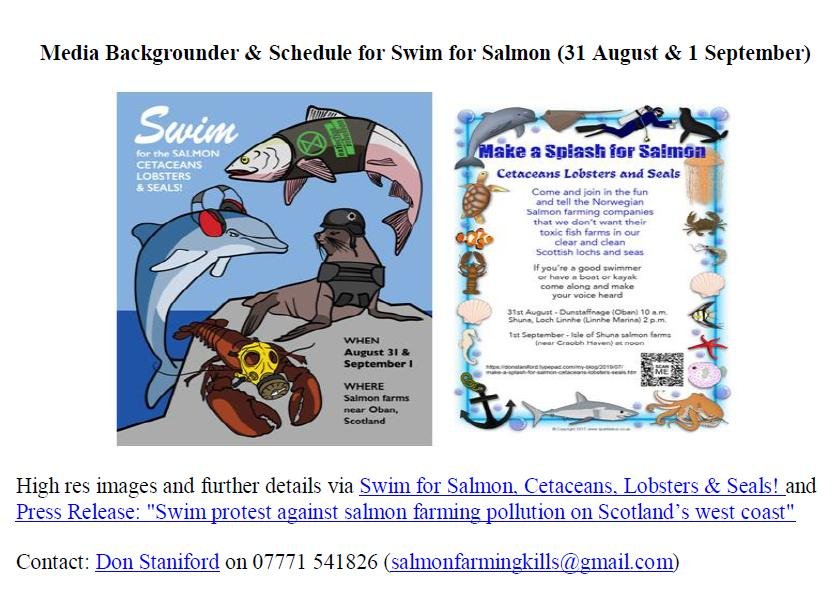 Media Backgrounder & Schedule for Swim for Salmon 31 Aug & 1 Sept 2019 #1